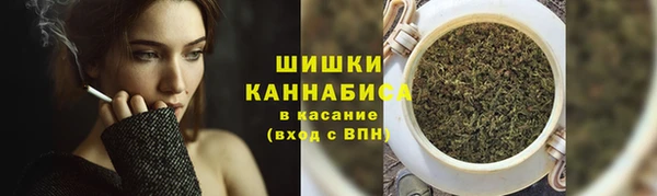 соль ск Горняк