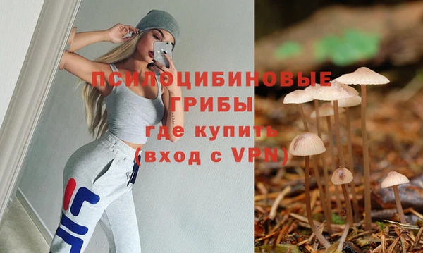 соль ск Горняк